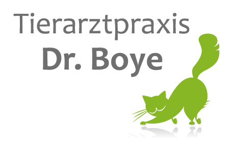 Dr.Boye